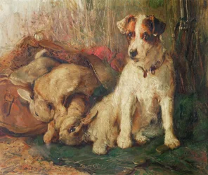 Deixado em carga - um Fox Terrier com jogo